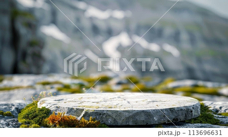 Serene Mountain Slate Display podium 113696631