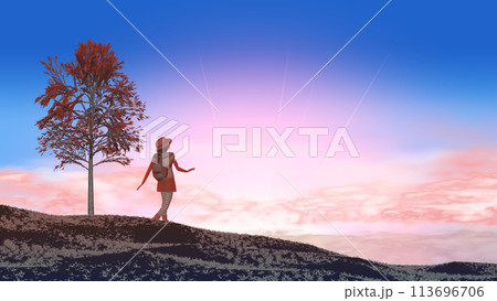 沈む夕日を背景にハイキングする山ガール　文字入れ用背景素材 113696706
