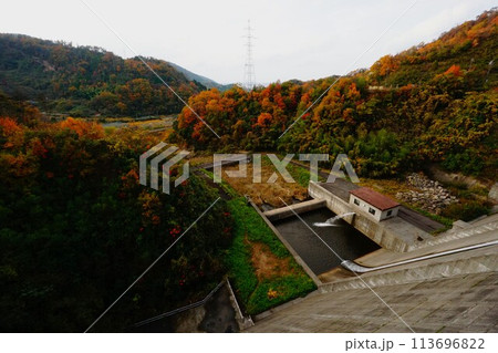 東郷ダム天端からの下流 113696822