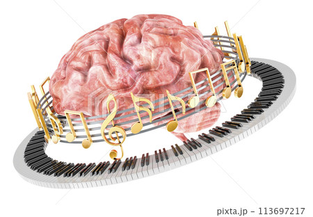 Brain with piano keyboard and musical notes around, music concept. 3D rendering Brain with piano keyboard and musical notes around, music concept. 3D rendering 113697217