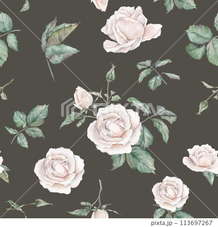 White roses seamless pattern. White roses arrangement. collection garden flowers, leaves. watercolor hand painting illustration on isolate white background. For wedding invitations, anniversary 113697267