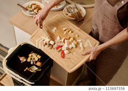Putting leftover food in compost bin Putting leftover food in compost bin 113697356
