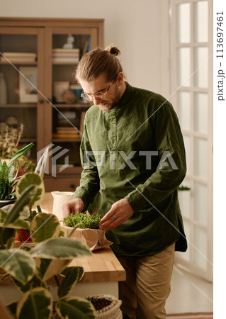 Man taking care of small green seedlings Man taking care of small green seedlings 113697461