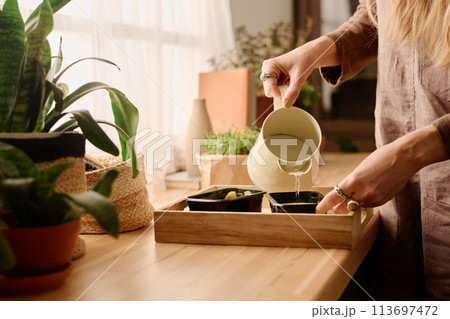 Pouring water into small plastic boxes Pouring water into small plastic boxes 113697472