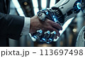 Humanoid hands and human hands hold hands together making an agreement, artificial Intelligence concept 113697498