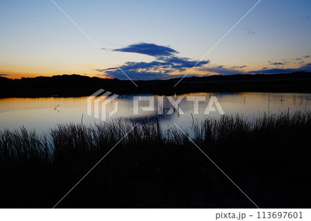 西印旛沼の夕陽 113697601