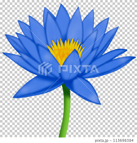 background with lotus flowers background with lotus flowers 113698384