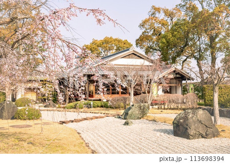 西尾市、西尾市歴史公園の旧近衛邸と満開の枝垂れ桜 113698394