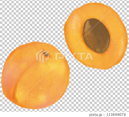 Apricot illustration set, cross section, seeds 113699078