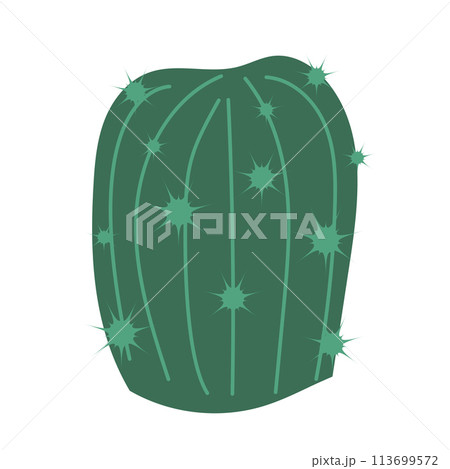 Cactus vector illustration in flat style. Vector illustration isolated on white background. Element for print, banner, card, brochure, logo. 113699572