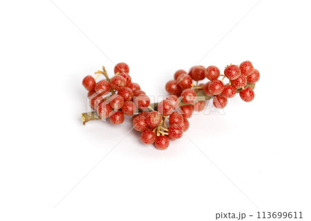 Ripe organic North America Buffaloberry on white background Ripe organic North America Buffaloberry on white background 113699611