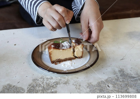 キャラメルチーズケーキ 113699808