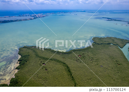 Art Garden in Cancun Hotel Zone 113700124