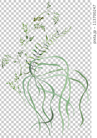 Bouquet with Watercolor fern twigs with green leaves isolated illustration, botanical wedding Bouquet with Watercolor fern twigs with green leaves isolated illustration, botanical wedding 113700247