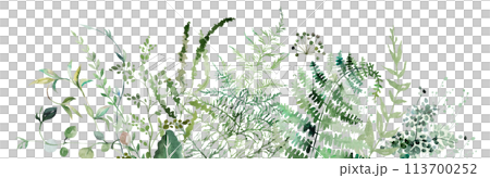 Border with Watercolor fern and botanical green leaves isolated illustration, wedding 113700252