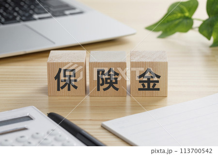 保険金と書かれた積み木のブロック 113700542