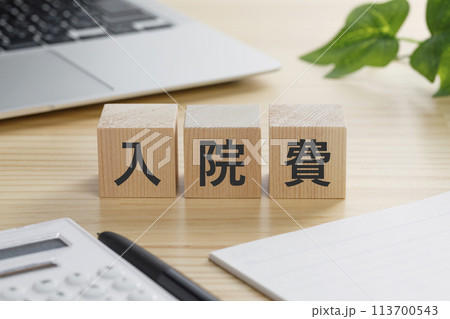入院費と書かれた積み木のブロック 113700543