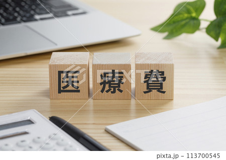 医療費と書かれた積み木のブロック 医療費と書かれた積み木のブロック 113700545