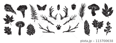 Linocut forest branch set vector engraving Scandinavian leaf, mushroom, cones black print collection Linocut forest branch set vector engraving Scandinavian leaf, mushroom, cones black print collection 113700638