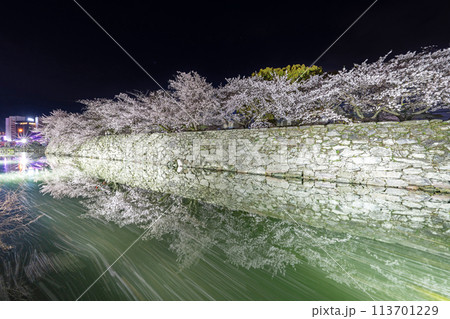 【春】徳島中央公園の夜桜 【春】徳島中央公園の夜桜 113701229