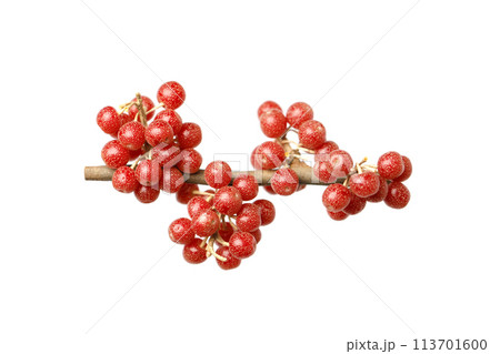 Fresh Buffaloberry or Shepherdia berries isolated on white background 113701600
