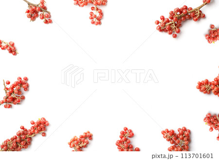 Border of Buffaloberry or Shepherdia, healthy food frame on white background Border of Buffaloberry or Shepherdia, healthy food frame on white background 113701601
