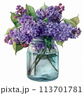 Delicate watercolor clipart of lilac bouquet in a glass jar, pastel colors on white background. Perfect for wedding invites, cards, and floral designs. 113701781