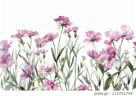 Vintage-style watercolor illustration of a pink wildflower on a white background. Perfect for rustic wedding invitations, greeting cards, and floral-themed designs. Vintage-style watercolor illustration of a pink wildflower on a white background. Perfect for rustic wedding invitations, greeting cards, and floral-themed designs. 113701794