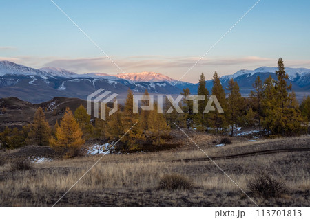 Amazing evening alpine landscape with a high mountain peak behind the forest 113701813