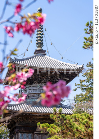 【第1番札所】春の霊山寺 多宝塔【四国八十八箇所】 【第1番札所】春の霊山寺 多宝塔【四国八十八箇所】 113701987