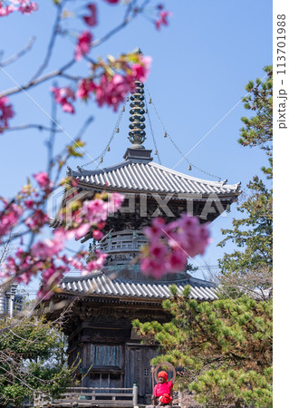 【第1番札所】春の霊山寺 多宝塔【四国八十八箇所】 【第1番札所】春の霊山寺 多宝塔【四国八十八箇所】 113701988