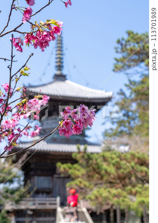 【第1番札所】春の霊山寺 多宝塔【四国八十八箇所】 【第1番札所】春の霊山寺 多宝塔【四国八十八箇所】 113701989