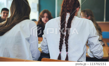 A girl at a desk at school. View from the back. 113702151