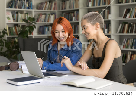 Two pretty schoolmates working on joint on-line project Two pretty schoolmates working on joint on-line project 113702624