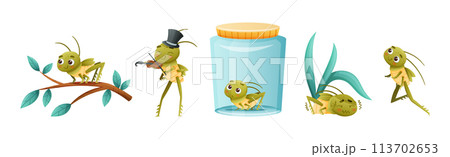 Cute Little Grasshopper Engaged in Various Activity Vector Set 113702653