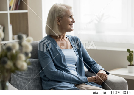 Attractive peaceful mature female resting seated in comfortable armchair 113703039