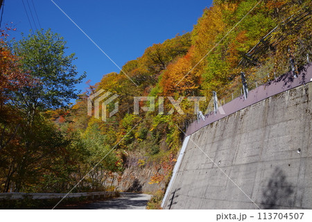 紅葉ドライブ《岐阜県野麦峠周辺》 紅葉ドライブ《岐阜県野麦峠周辺》 113704507
