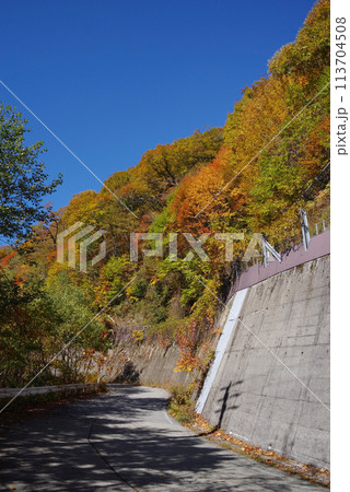 紅葉ドライブ《岐阜県野麦峠周辺》 113704508