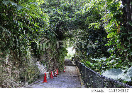 首里金城町石畳道 113704587
