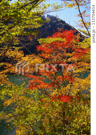 湖畔の紅葉《岐阜県高山市高根乗鞍湖》 113704654