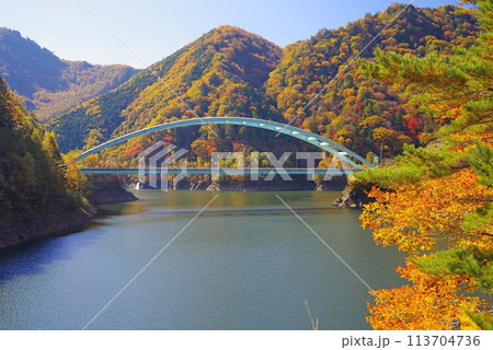 湖畔の紅葉《岐阜県高山市高根乗鞍湖・高嶺大橋》 113704736