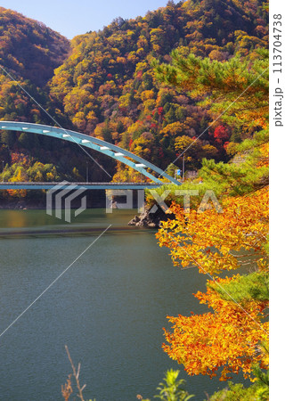 湖畔の紅葉《岐阜県高山市高根乗鞍湖・高嶺大橋》 湖畔の紅葉《岐阜県高山市高根乗鞍湖・高嶺大橋》 113704738