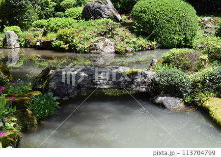 美しい日本庭園 113704799
