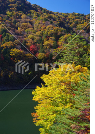 湖畔の紅葉《岐阜県高山市高根乗鞍湖》 113704817