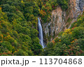 （長野県）紅葉が始まった志賀高原の澗満滝（かんまん滝） 113704868