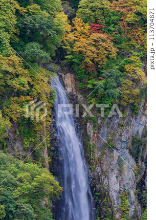 (長野県)紅葉が始まった志賀高原の澗満滝(かんまん滝) (長野県)紅葉が始まった志賀高原の澗満滝(かんまん滝) 113704871