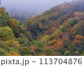 （長野県）志賀高原澗満滝（かんまん滝）上部の紅葉 113704876