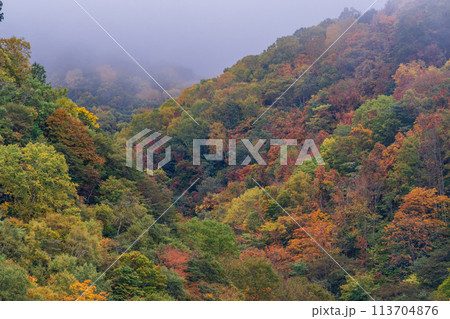(長野県)志賀高原澗満滝(かんまん滝)上部の紅葉 (長野県)志賀高原澗満滝(かんまん滝)上部の紅葉 113704876