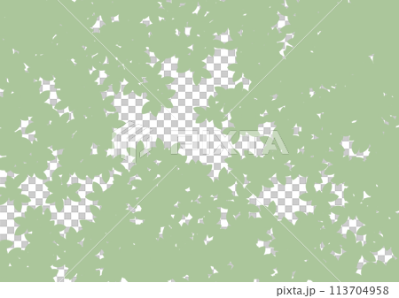 木漏れ日 背景1 木漏れ日 背景1 113704958