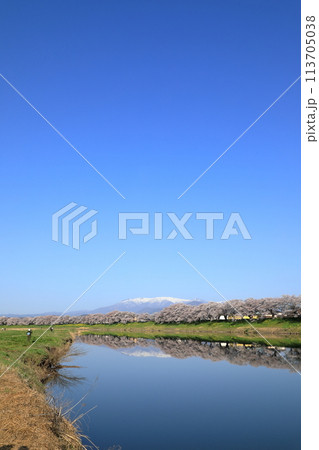 白石川堤一目千本桜の風景 113705038